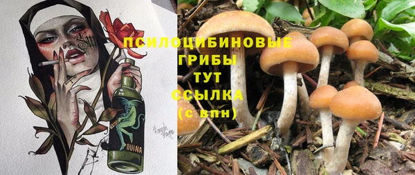 mdpv Арсеньев