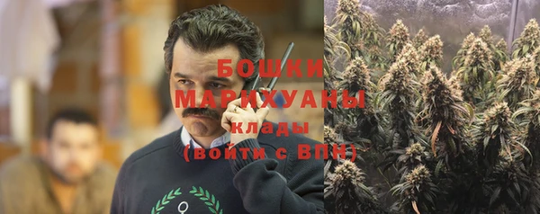 крисы Наволоки